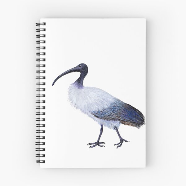 Item preview, Bin Chicken  designed and sold by Roy & Tiffany.