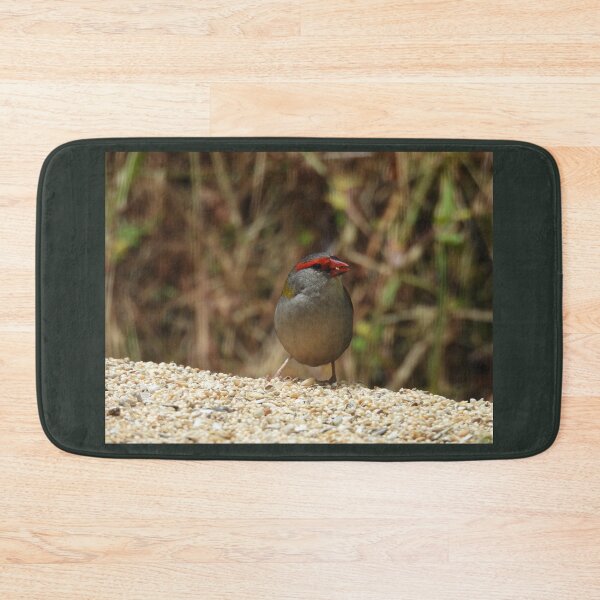 Item preview, Red-browed Finch at Norton Summit designed and sold by Claire L Page Photography.