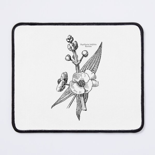 Item preview, Katniss Plant | The Hunger Games designed and sold by kpospichel.