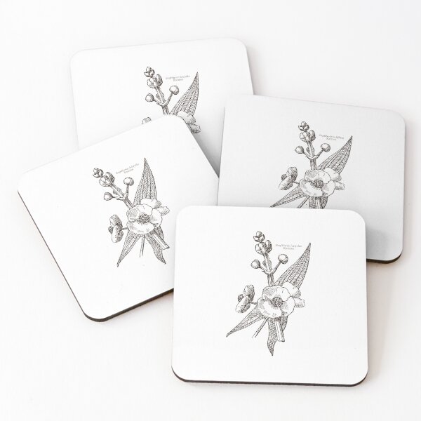 Item preview, Katniss Plant | The Hunger Games designed and sold by kpospichel.
