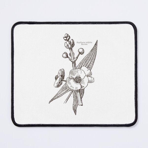 Item preview, Katniss Plant | The Hunger Games designed and sold by kpospichel.