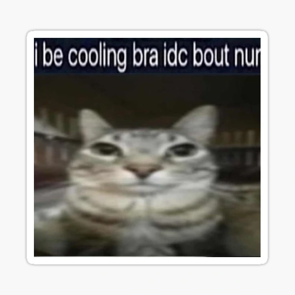 i be cooling bra idc bout nun cat meme funny positivity silly