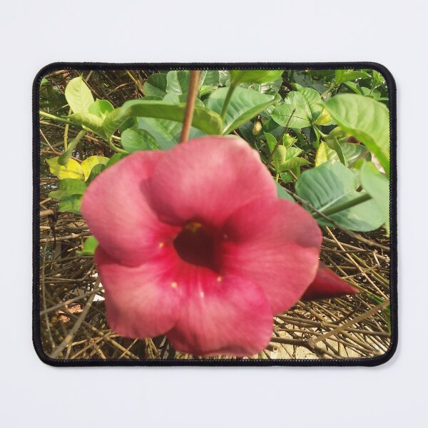 Item preview, Nature flower designed and sold by SKYSHOP007.