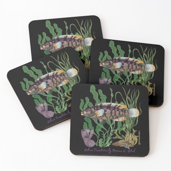 Item preview, Labrus Tesselatus by Marcus Elieser Bloch designed and sold by smirey designs.