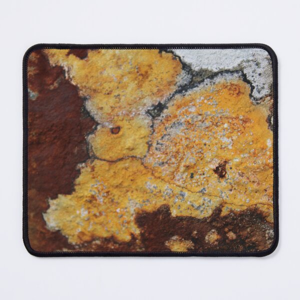 Item preview, lichen designed and sold by KathleenDawson.
