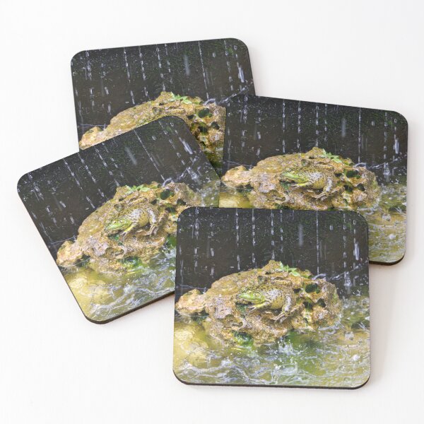 Item preview, American Bullfrog in a Fountain in Bali, Indonesia designed and sold by The Botanical Jason.