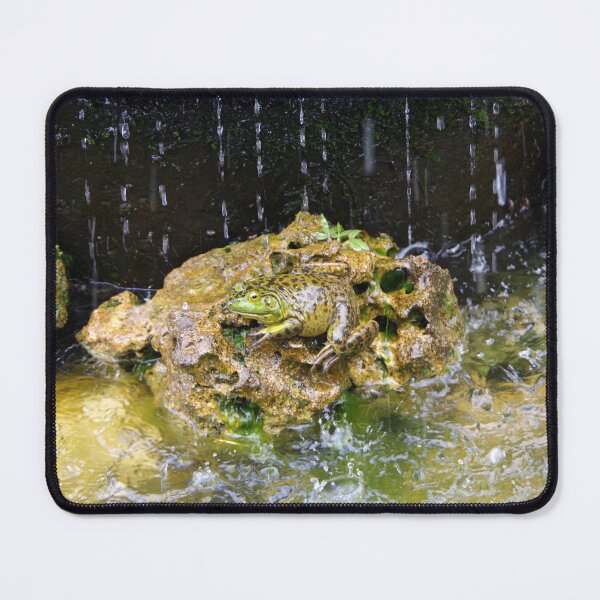 Item preview, American Bullfrog in a Fountain in Bali, Indonesia designed and sold by The Botanical Jason.