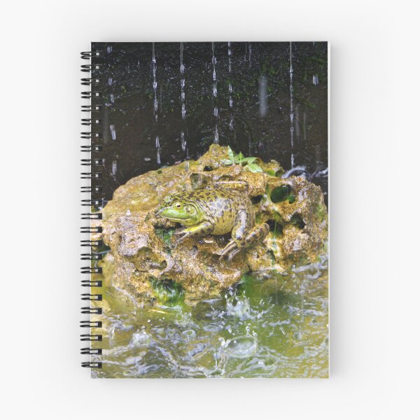 Item preview, American Bullfrog in a Fountain in Bali, Indonesia designed and sold by The Botanical Jason.