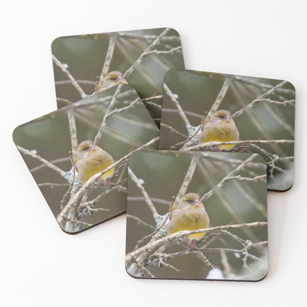 Item preview, Yrmy The Sober One. European greenfinch designed and sold by Jouko Lehto Photography.
