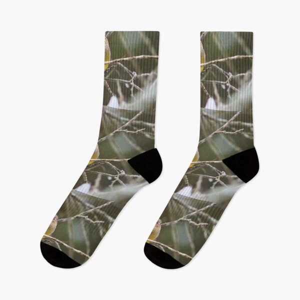 Item preview, Yrmy The Sober One. European greenfinch designed and sold by Jouko Lehto Photography.