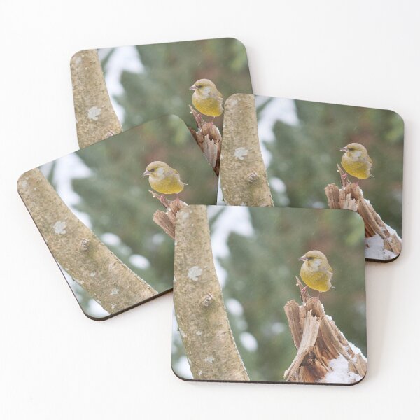 Item preview, Snowing today. European greenfinch designed and sold by Jouko Lehto Photography.