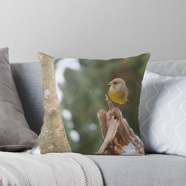 Item preview, Snowing today. European greenfinch designed and sold by Jouko Lehto Photography.