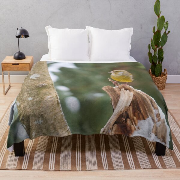 Item preview, Snowing today. European greenfinch designed and sold by Jouko Lehto Photography.