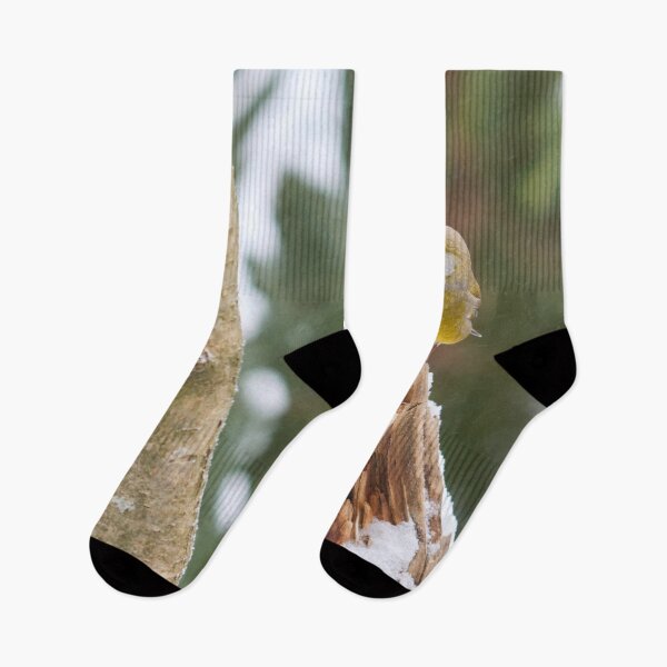 Item preview, Snowing today. European greenfinch designed and sold by Jouko Lehto Photography.