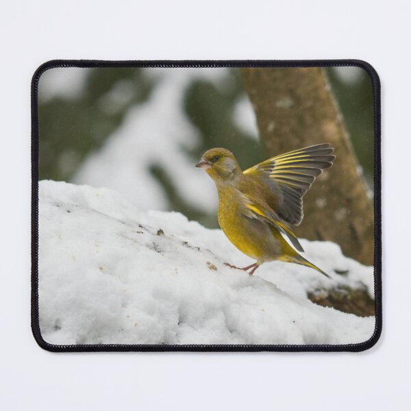Item preview, It went that way. European greenfinch designed and sold by Jouko Lehto Photography.