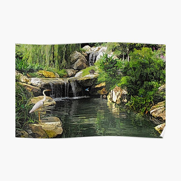 Small Creek with Wildlife Poster