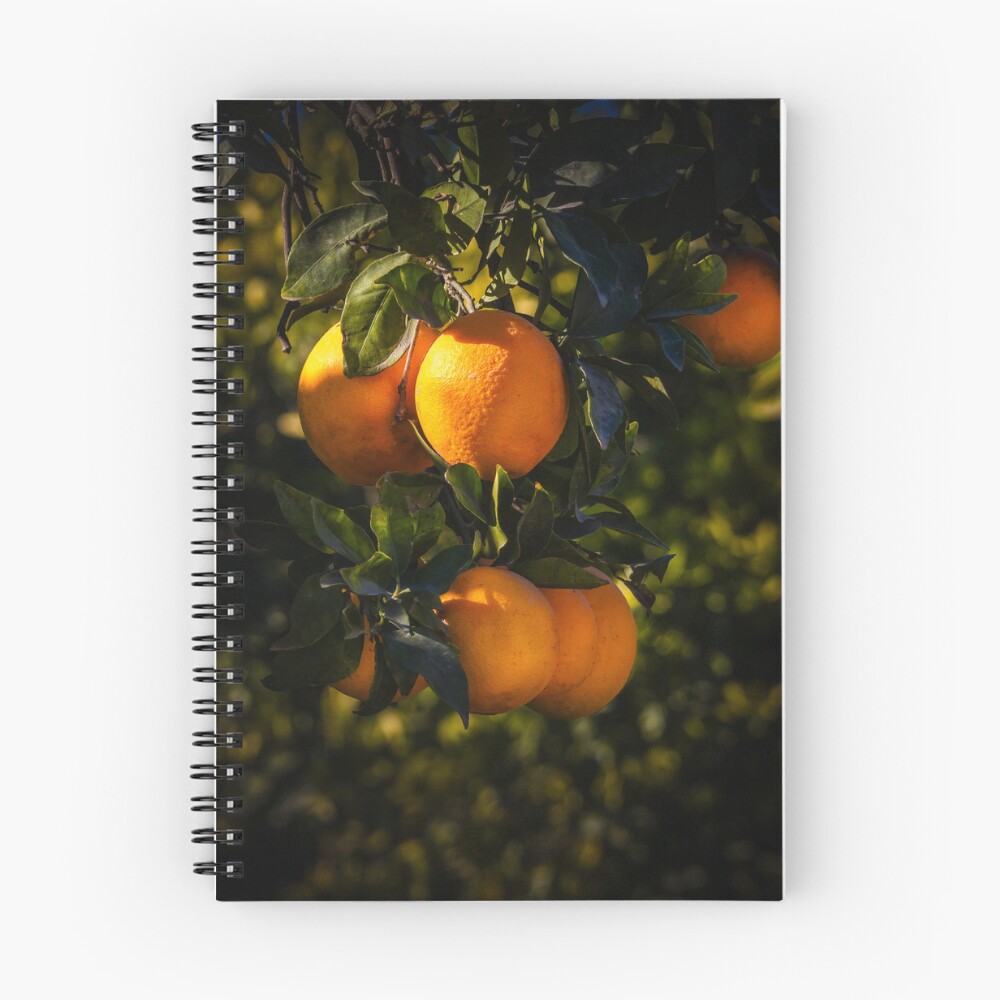 Item preview, Spiral Notebook designed and sold by RalphGoldsmith.