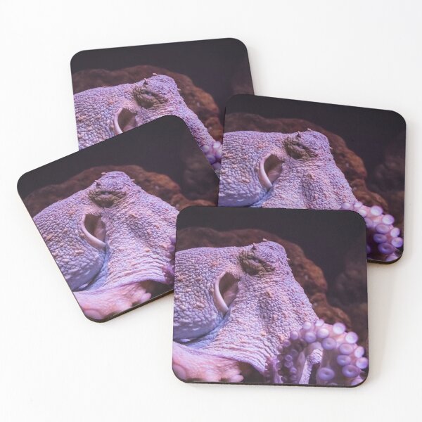 Item preview, Portrait of an octopus designed and sold by Giuseppe Cammino.