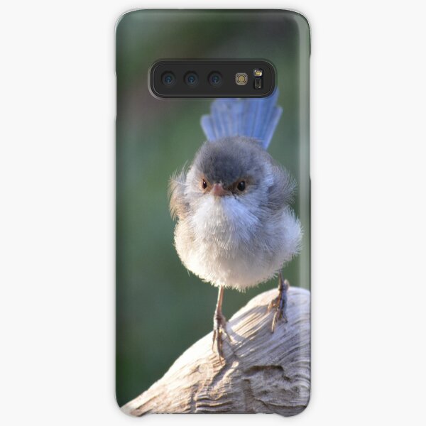 Blue Wren female, logging on! Samsung Galaxy Snap Case