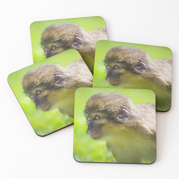 Item preview, The look of a little monkey designed and sold by Giuseppe Cammino.