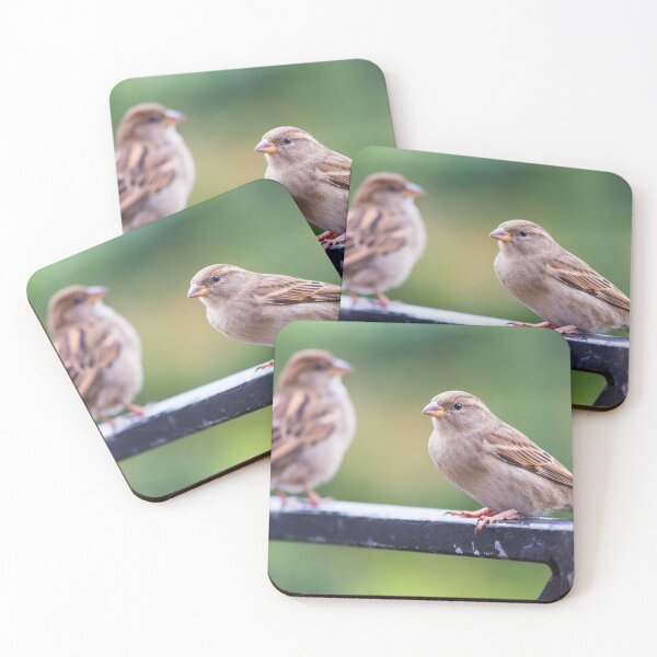 Item preview, Two little sparrows resting on an iron railing designed and sold by Giuseppe Cammino.