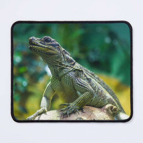 Item preview, Portrait of a hydrosaurus designed and sold by Giuseppe Cammino.