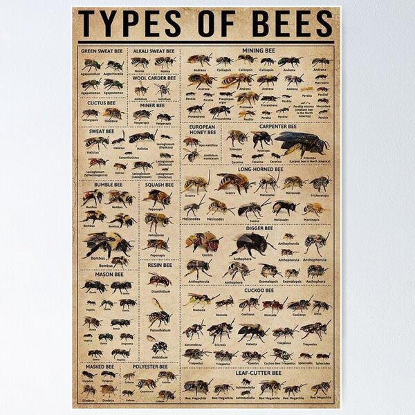 Item preview, types of bees designed and sold by soulsurferart.