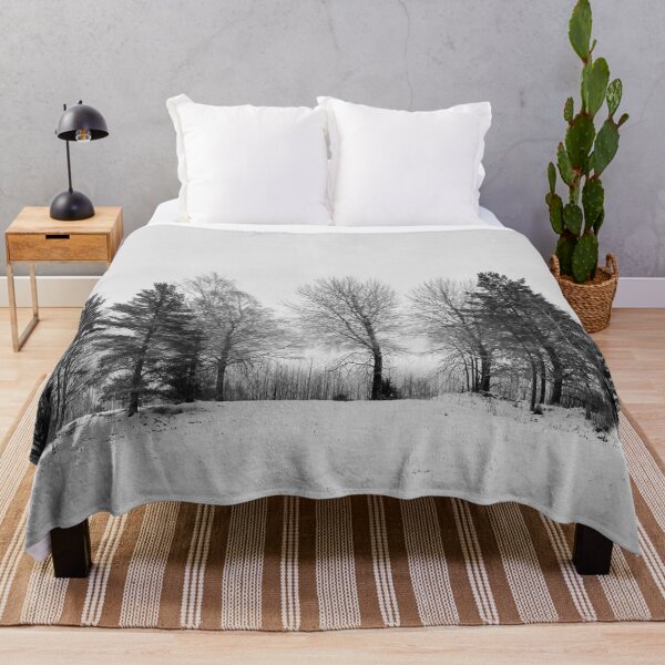 Item preview, The Line 2 . Parkkuu Nov23 bw designed and sold by Jouko Lehto Photography.