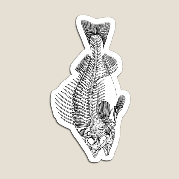 Fish Skeleton Magnet