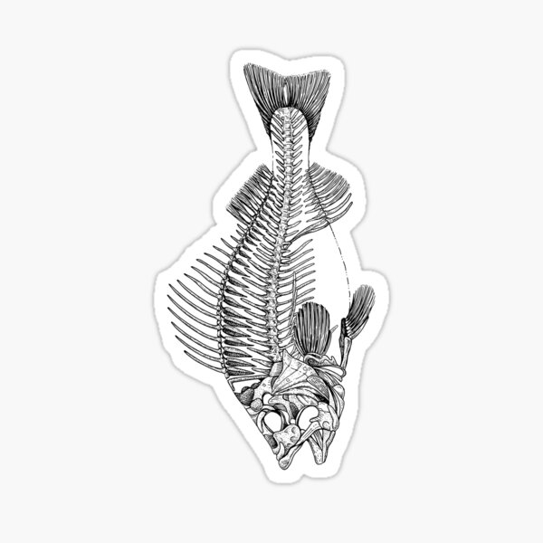 Fish Skeleton Sticker