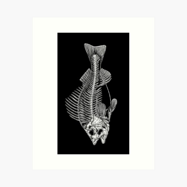 Designart 'Fish Skeleton Bone on Black ' Animal Metal Wall Art