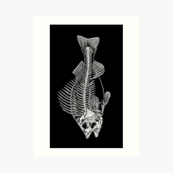 Fish Skeleton  Art Print for Sale by Yauheniya Batyrava-Hauss