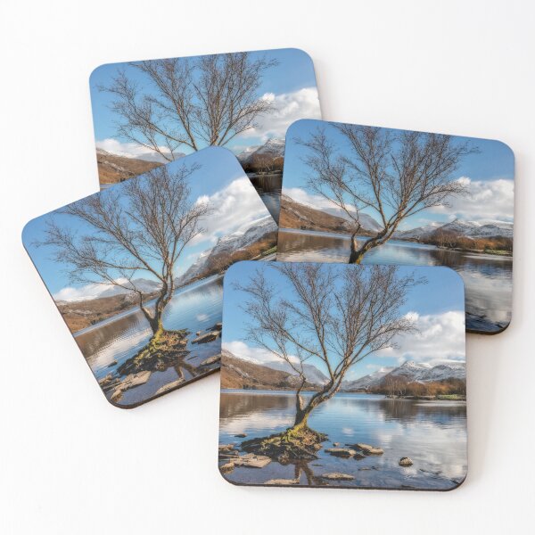 Item preview, Lone Tree Padarn Lake Snowdonia designed and sold by AJEvans.