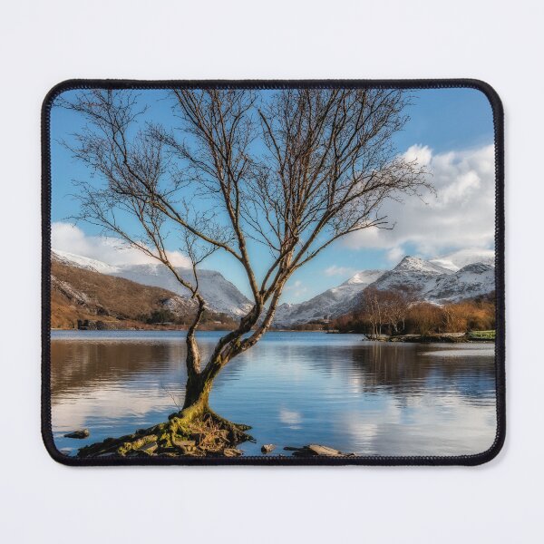 Item preview, Lone Tree Padarn Lake Snowdonia designed and sold by AJEvans.