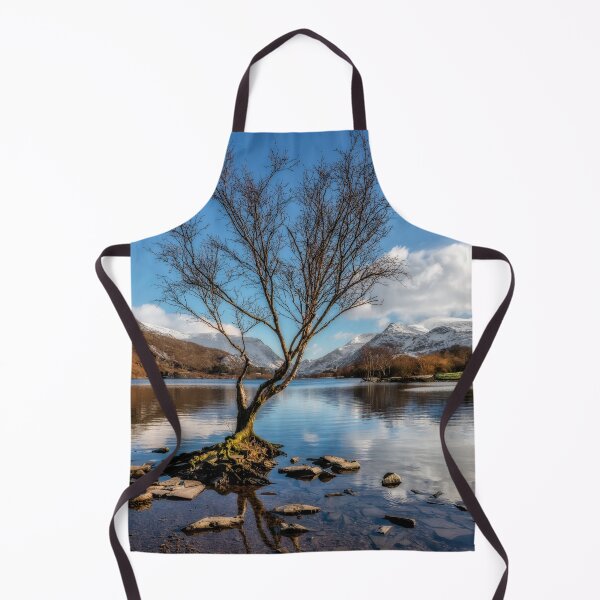 Item preview, Lone Tree Padarn Lake Snowdonia designed and sold by AJEvans.