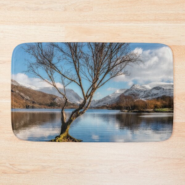 Item preview, Lone Tree Padarn Lake Snowdonia designed and sold by AJEvans.