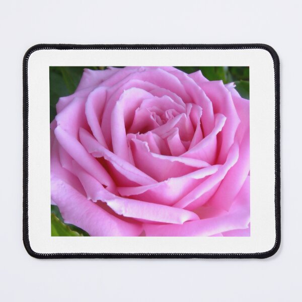 Item preview, Pink Rose designed and sold by JuliaWright.