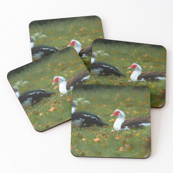Item preview, Digital illustration of Muscovy ducks with autumn leaves. designed and sold by RobThorley.