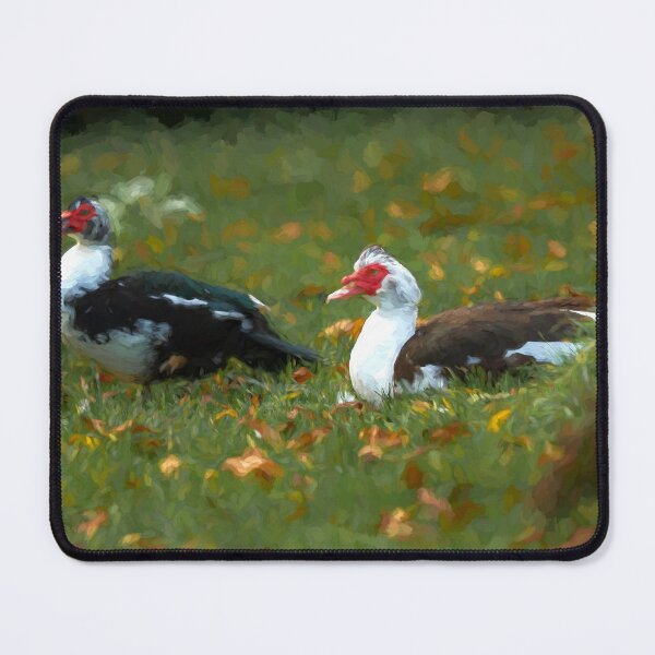 Item preview, Digital illustration of Muscovy ducks with autumn leaves. designed and sold by RobThorley.