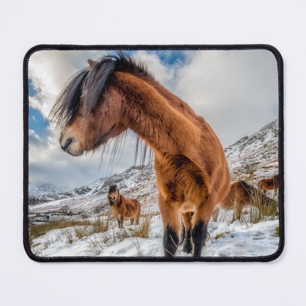 Item preview, Horses of Snowdonia Wales designed and sold by AJEvans.