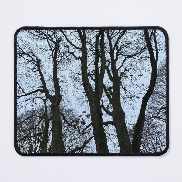 Item preview, Tree Silhouettes designed and sold by Paddyb17.