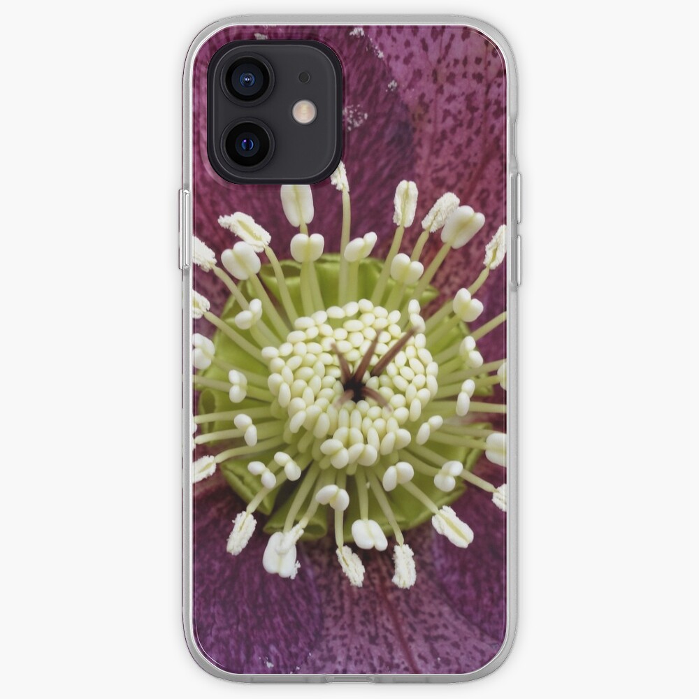 Helleborus iPhone Case & Cover