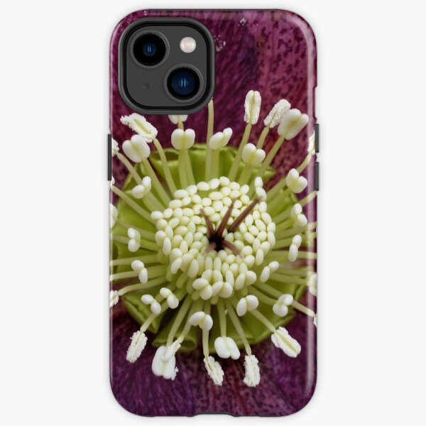 Helleborus iPhone Tough Case
