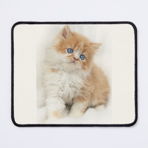 Item preview, Softness designed and sold by micklyn.