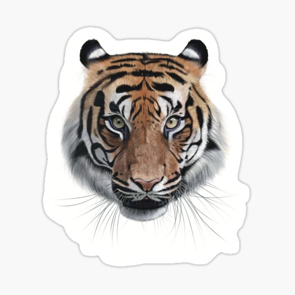 Item preview, Sumatran Tiger Face designed and sold by dinnydaynaart.
