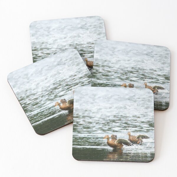 Item preview, Digital illustration of two Mallard ducks taking off. designed and sold by RobThorley.