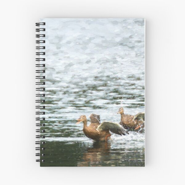 Item preview, Digital illustration of two Mallard ducks taking off. designed and sold by RobThorley.