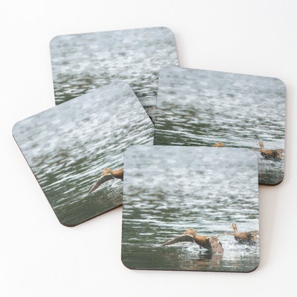 Item preview, Digital illustration of two Mallard ducks taking off. designed and sold by RobThorley.