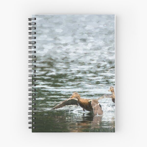 Item preview, Digital illustration of two Mallard ducks taking off. designed and sold by RobThorley.