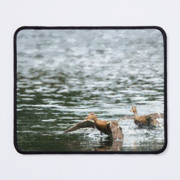 Item preview, Digital illustration of two Mallard ducks taking off. designed and sold by RobThorley.